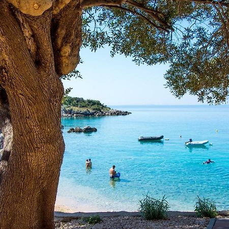 Villa Rooms Mediteran Borovići Екстериор снимка